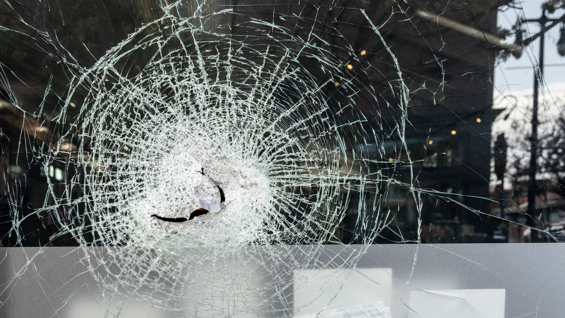 Camera Store Robbed