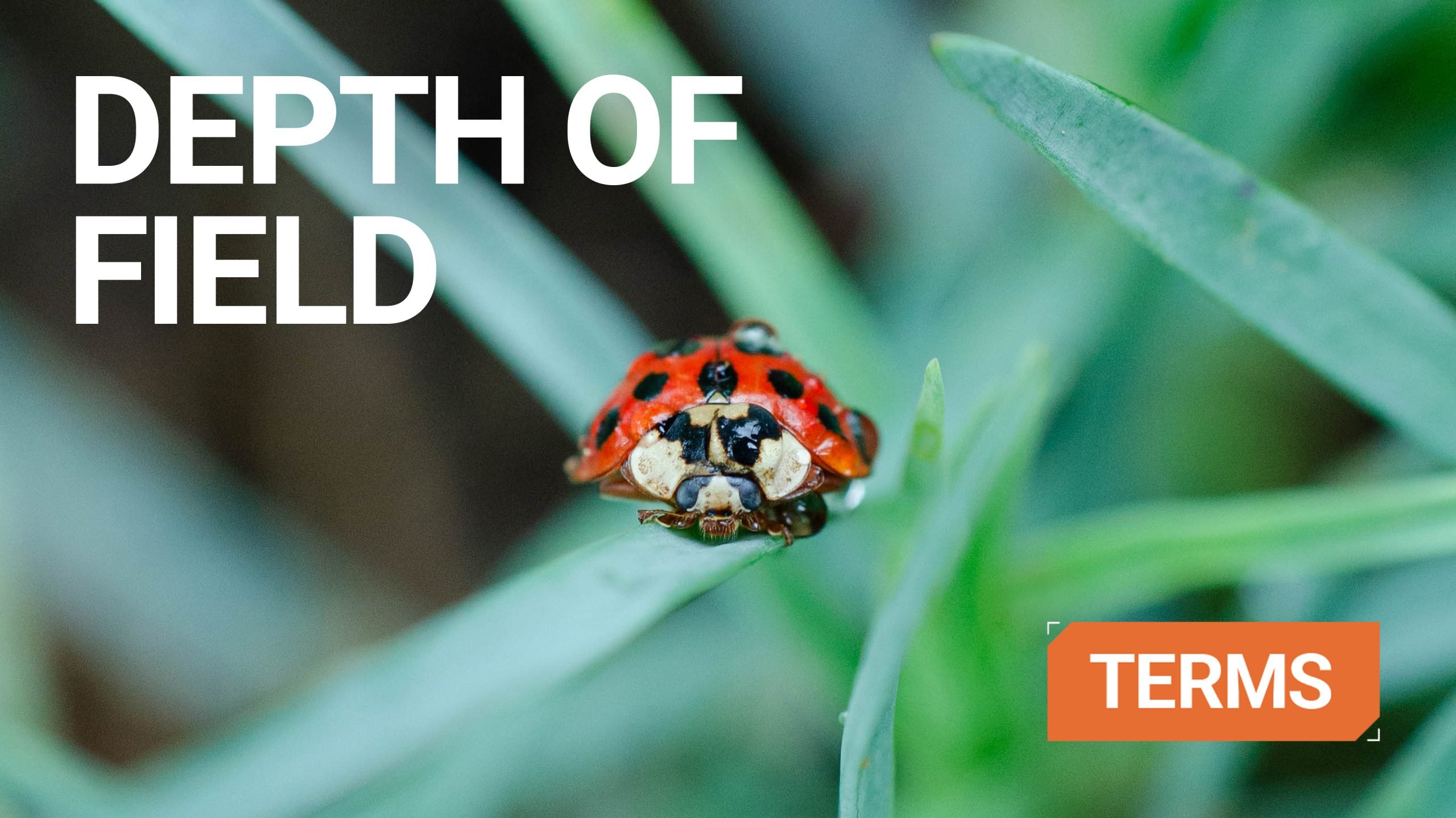 depth of field