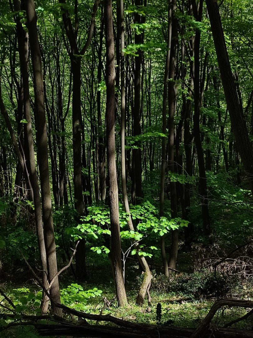 dynamic range photography