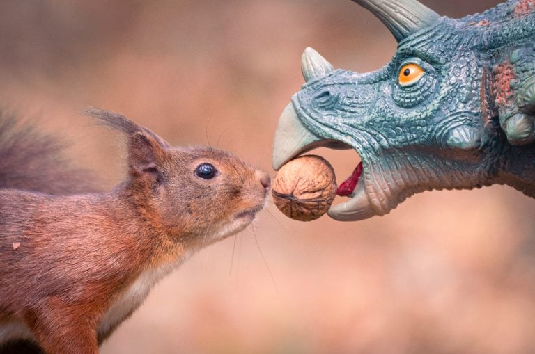 squirrels vs dinosaurs